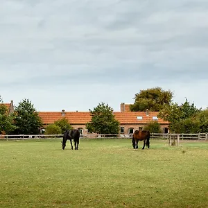 Het Zwaluwnest Ferienhaus